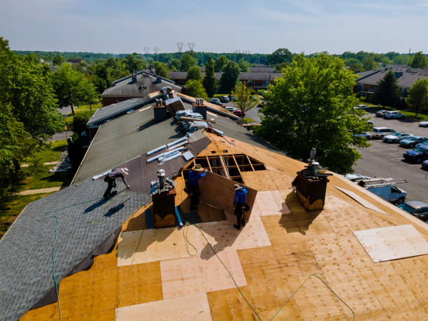 Trusted Metal Roofing service in Pointblank, TX - Brentwood Metal Roofing